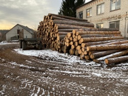 В Житомирской обл. должностным лицам сообщили о подозрении в хищении древесины на сумму более 6 млн грн