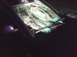 В Ровенской области пьяный водитель на «евробляхе» сбил трех человек