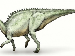 Ученые нашли редкий вид человеческого рака на хвосте у динозавра