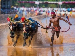 Индиец поставил рекорд скорости в забеге по рисовому полю