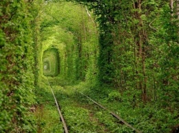 Daily Mail: "Туннель любви" в Украине - одно из самых романтических мест в мире