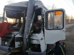В Житомирской области автобус влетел в столб, есть жертвы
