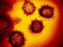 Ученые рассмотрели структуру "ахиллесовой пяты" нового коронавируса