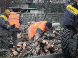Упавшие деревья и перекрытая дорога: Никополь накрыла непогода