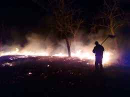 На Днепропетровщине увеличилось количество пожаров в экосистемах из-за ветров и людей, поджигающих траву, - ФОТО