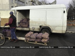 За торговлю в неположенном месте продавцам картошки грозит штраф
