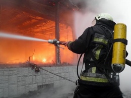 Сезон пожаров: на Харьковщине спасатели тушат подожженную жителями траву