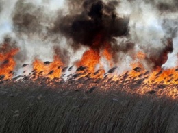 Днепропетровщину охватили пожары (ФОТО, ВИДЕО)