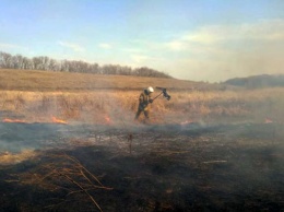 Днепропетровщина в огне: массовые пожары в экосистемах