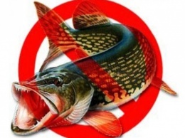 На водоемах Кривого Рога и его окрестностей вводится запрет на лов рыбы
