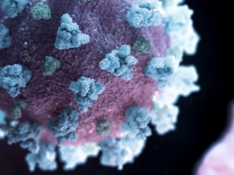 Что коронавирус делает с человеком: фото легких больного на томографе