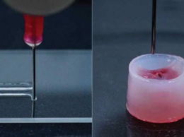 Разработан универсальный носитель для струйной 3D-печати имплантатов