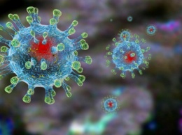Подозрение на коронавирус в Энергодаре не подтвердилось