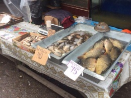 На рынке в Боярке изъяли рыбу