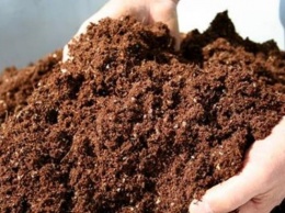 Предприятие Николаевщины экспортирует органические удобрения