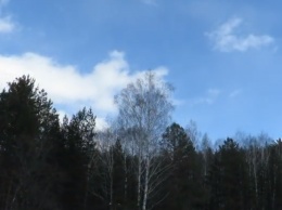 Солнце и арктический воздух, но ветер уже слабее, и это радует! Погода в Украине на 16 марта