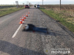 В Запорожской области водитель сбил девушку-пешехода и оставил умирать на обочине (ФОТО)
