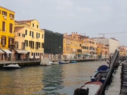 На это стоит посмотреть: в безлюдную Венецию приплыли дельфины. Фото