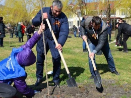 Миллионы деревьев по всей России высадят участники всероссийской акции "Сад памяти"