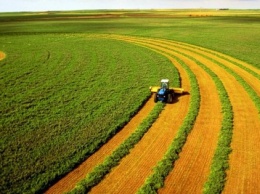 Аграрии призвали Зеленского отсрочить введение рынка земли до 2021 года