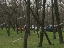 Будут ли штрафовать за прогулки по парку и лесопарку во время карантина в Мелитополе (видео)