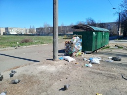 Окраина Нового Мелитополя утопает в мусоре