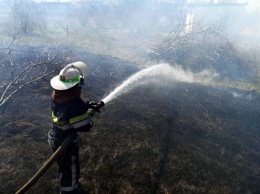 На Днепропетровщине за сутки сгорели десятки гектаров в экосиситемах