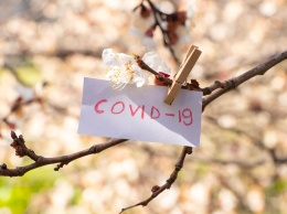 Торговка молоком из Тернопольской области умерла от COVID-19. Никто не хотел копать ей могилу