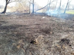 Пенсионерка под Киевом сожгла лес, "выкуривая" лисиц. Спасатели продолжают тушить пожар