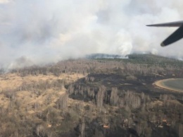 Лесной пожар в Чернобыльской зоне потушен