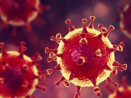 Новая реальность: что уничтожает коронавирус за 30 секунд