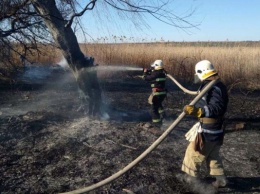 На Днепропетровщине за сутки выгорело 30 гектаров мусора и сухой травы