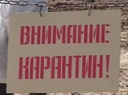 Территорию Мелитополя признали карантинной зоной - что это значит для жителей города и приезжих (фото)
