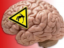 Ученые выяснили, сколько времени мозг восстанавливается после пьянки