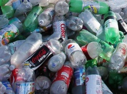 Ученые обнаружили фермент, способный разложить пластиковые бутылки за несколько часов