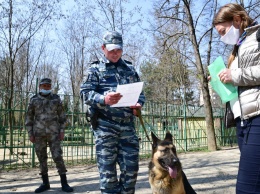 МВД разъяснило как и за что могут штрафовать не соблюдавших самоизоляцию крымчан
