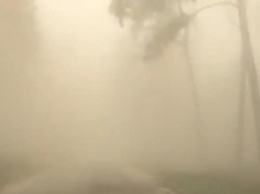 По Киевщине влупила пылевая буря, есть первые жертвы - ВИДЕО