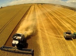 Бизнес призывает Кабмин не допустить запрета экспорта зерна