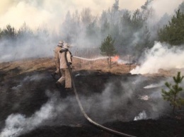 Прокуратура открыла дело из-за пожаров в Овручском районе, из-за которых загорелись дома и лес