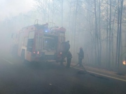 На Житомирщине эвакуировали жителей сгоревших сел