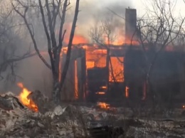 Украинцы молят о помощи: огонь с лесов перекинулся на дома и кладбища - жуткие фото