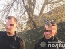 Полиция Киевщины задержала двух мужчин по подозрению в поджоге сухостоя