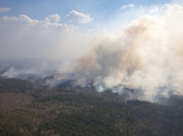 Аваков: Рассматривается две версии возникновения пожаров в Житомирской области - суховеи и умышленный поджог