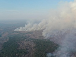 Аваков надеется, что потушить лесные пожары на Житомирщине удастся в течение четырех дней