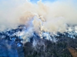 РНБО подозревает в поджогах на Житомирщине местных землевладельцев