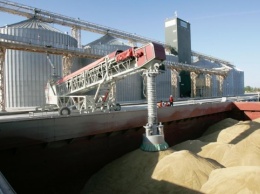 Государственная зерновая корпорация начала весеннюю форвардную программу