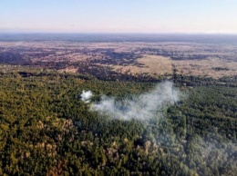 В двух лесхозах Житомирской области удалось потушить пожары