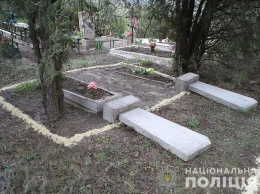 В Запорожской области 13-летний подросток разгромил три десятка могил на кладбище