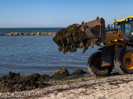 В Бердянске расчистили слободские пляжи от водорослей