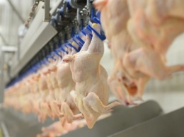 МХП не будет уменьшать поставки курятины на внутренний рынок